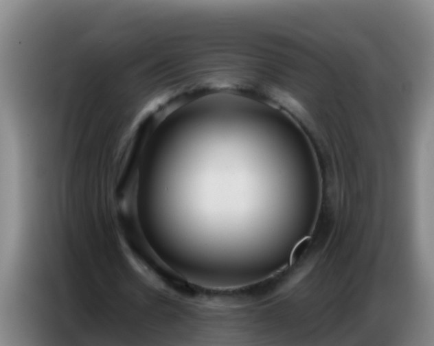 X0000086800530200704201905