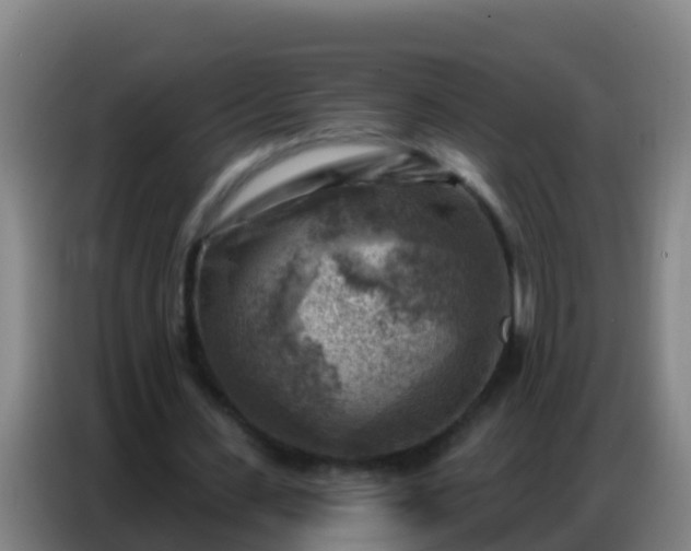 X0000086800531200704201905