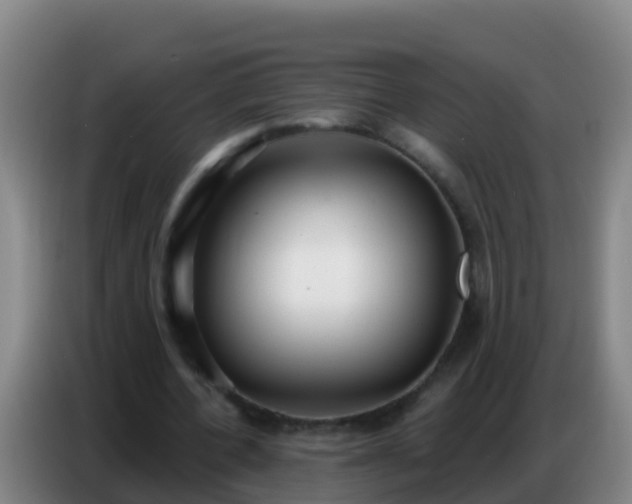 X0000086800532200704201905