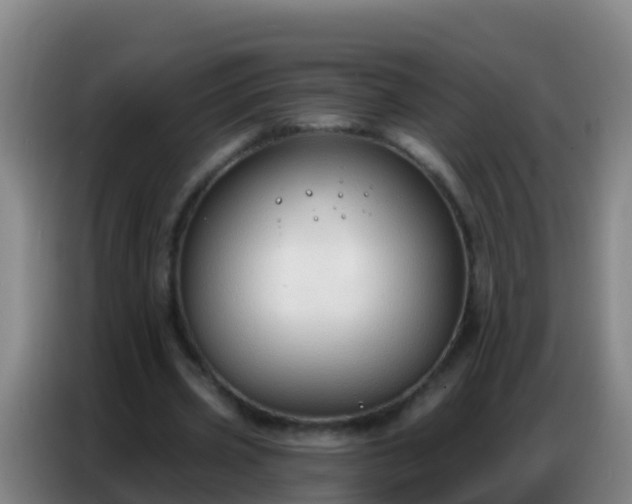 X0000086800533200704201905