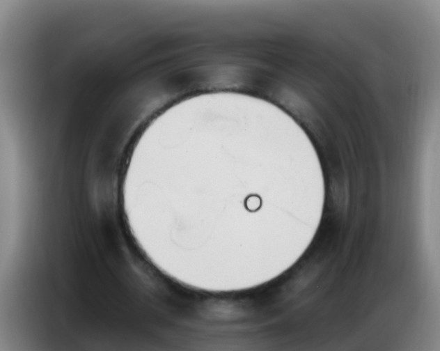 X0000086800534200704201905