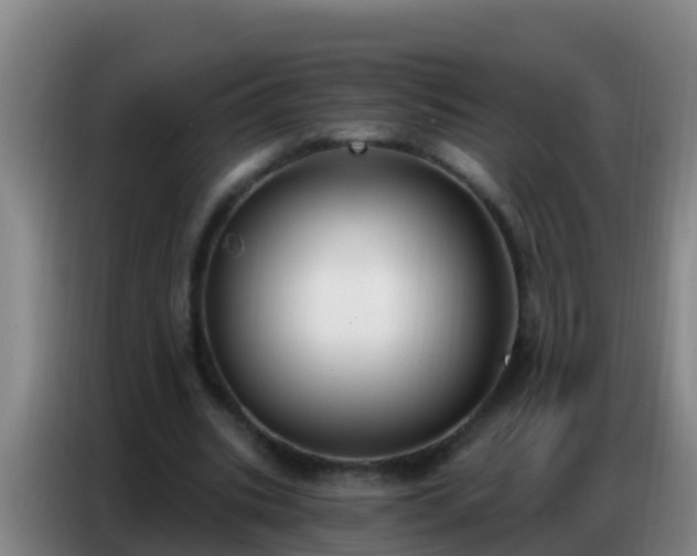 X0000086800535200704201905