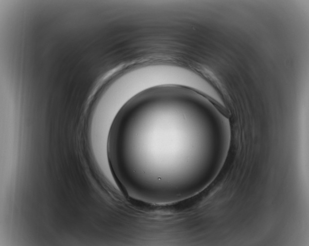 X0000086800536200704201905