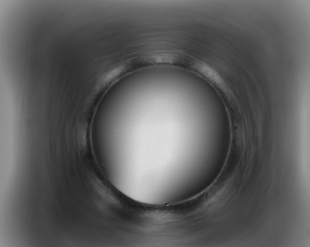 X0000086800537200704201905