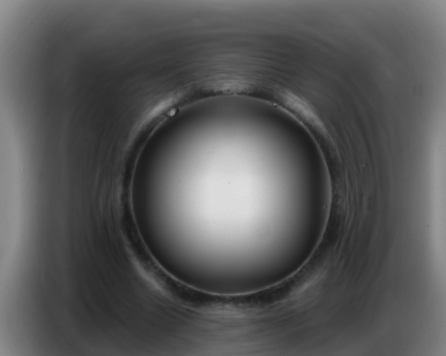 X0000086800538200704201905