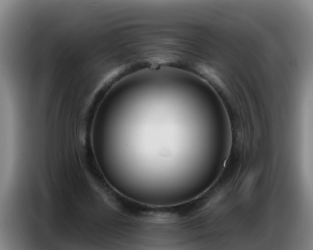 X0000086800539200704201905