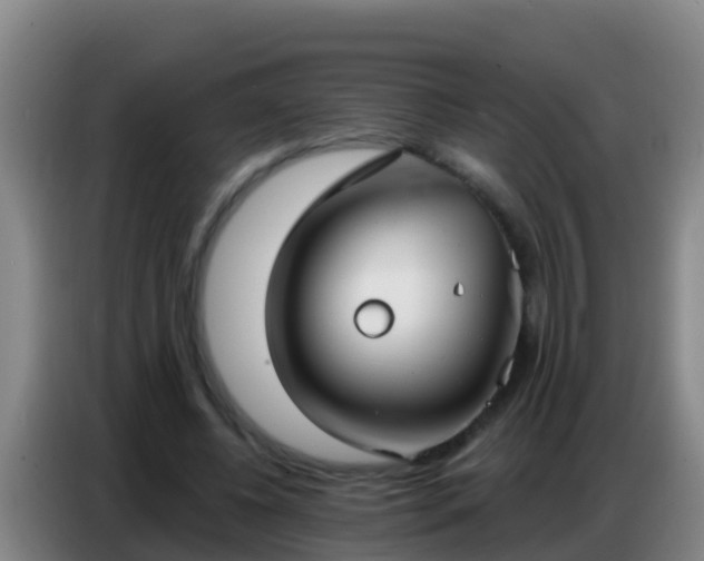 X0000086800540200704201905