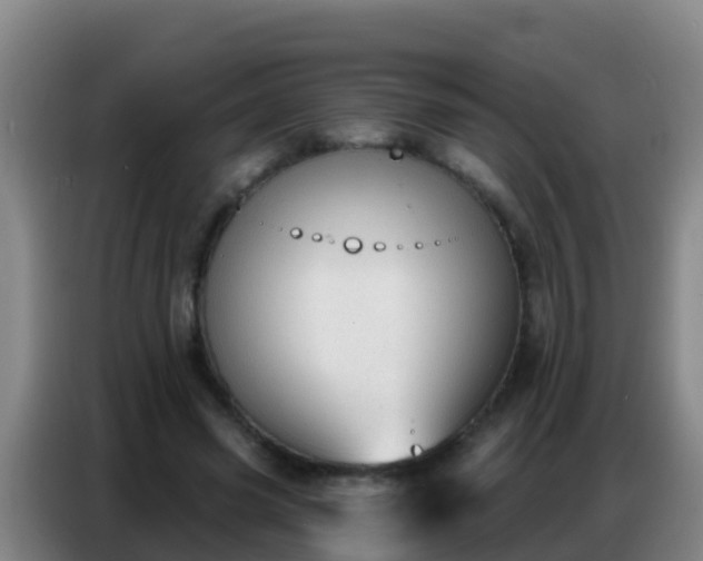 X0000086800541200704201905