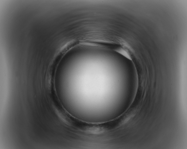 X0000086800542200704201905