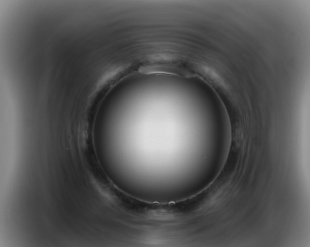 X0000086800544200704201905