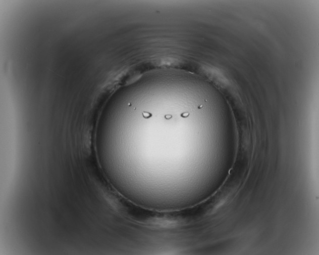 X0000086800545200704201905