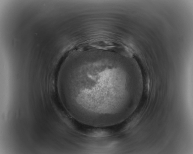 X0000086800547200704201905