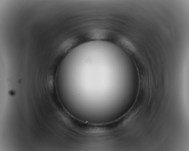 X0000086800549200704201905