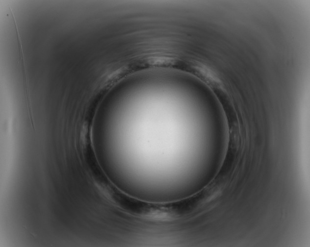 X0000086800550200704201905