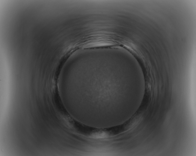 X0000086800551200704201905