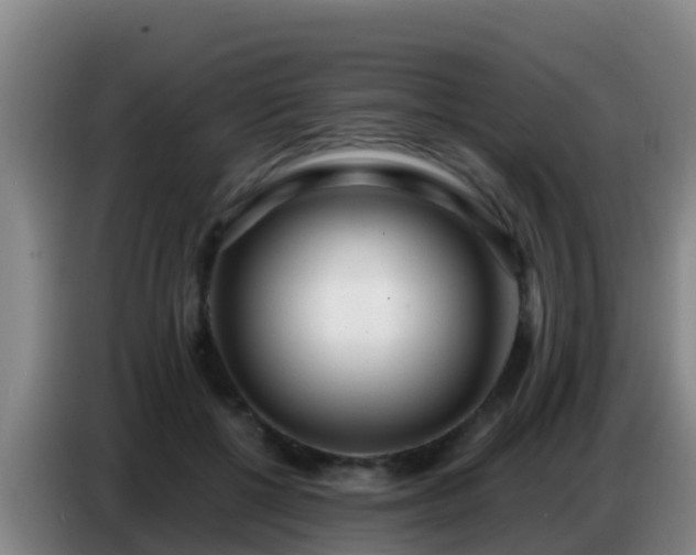 X0000086800552200704201905