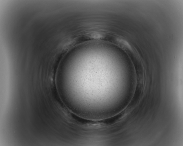 X0000086800553200704201905