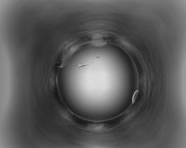 X0000086800554200704201905