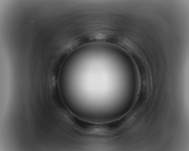 X0000086800555200704201905