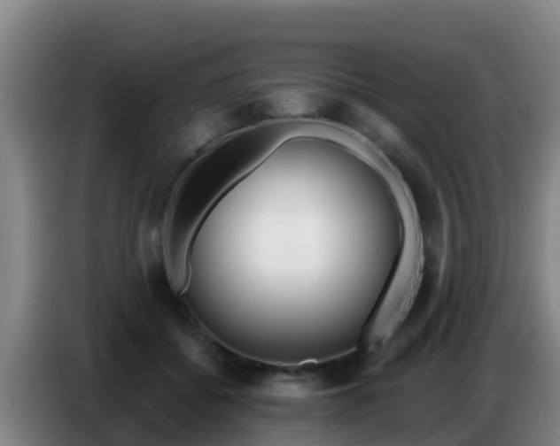 X0000086800556200704201905