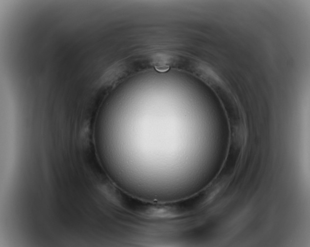 X0000086800557200704201905