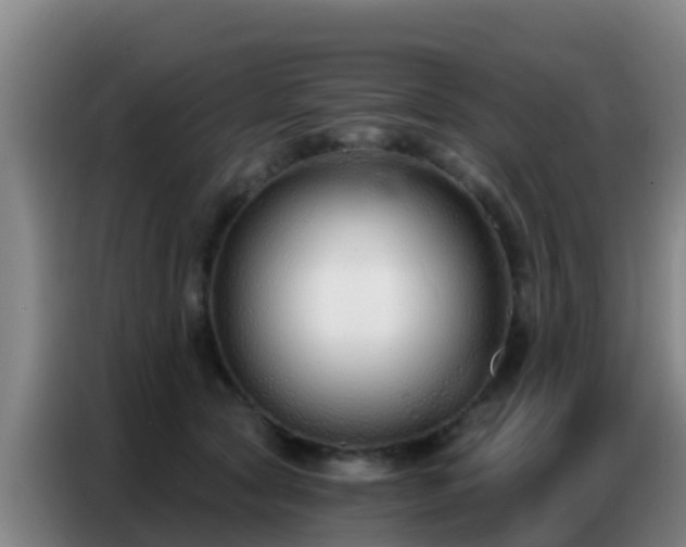 X0000086800561200704201905