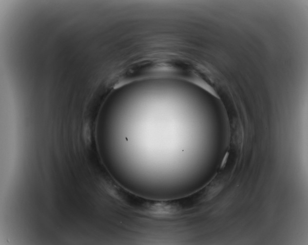 X0000086800562200704201906