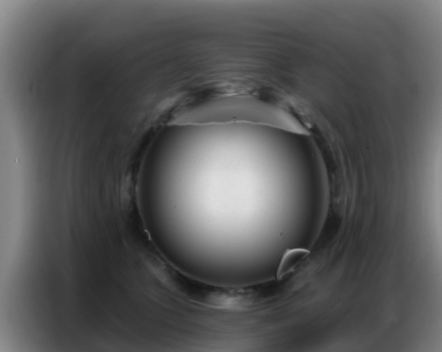 X0000086800563200704201906