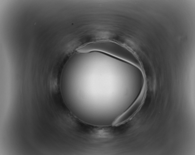 X0000086800564200704201906