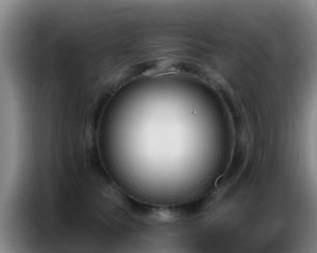 X0000086800565200704201906