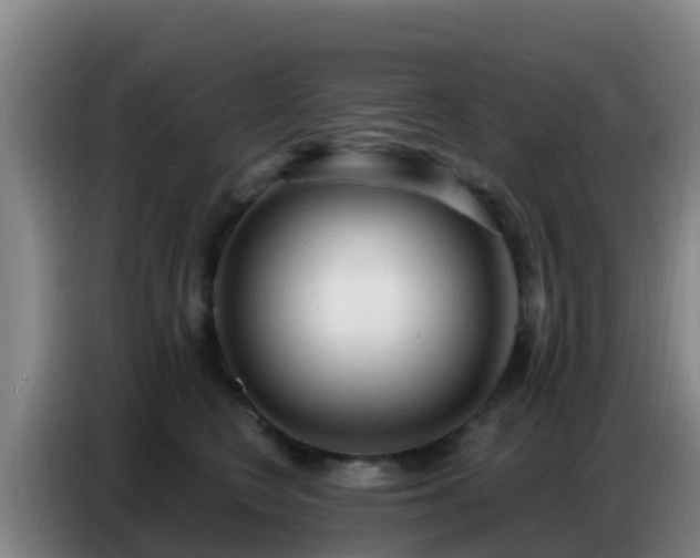 X0000086800566200704201906
