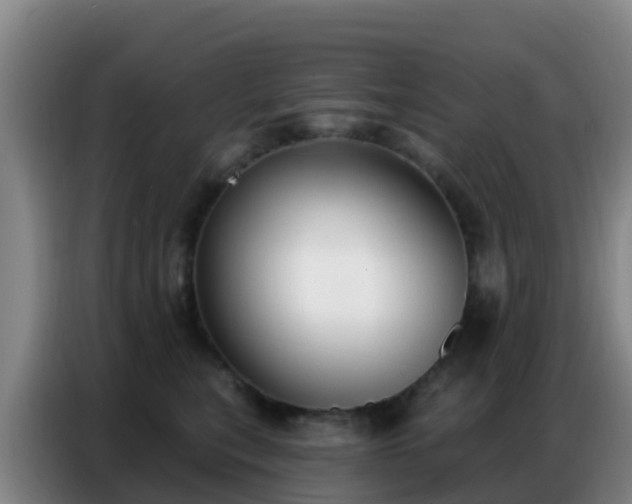 X0000086800567200704201906