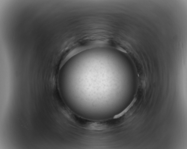 X0000086800568200704201906