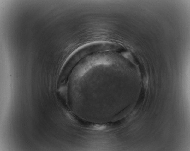 X0000086800570200704201906