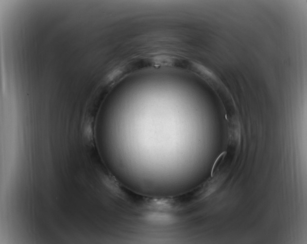 X0000086800573200704201906