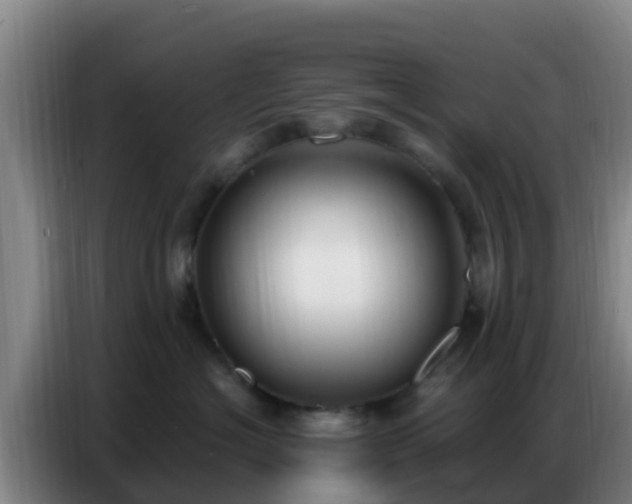 X0000086800574200704201906