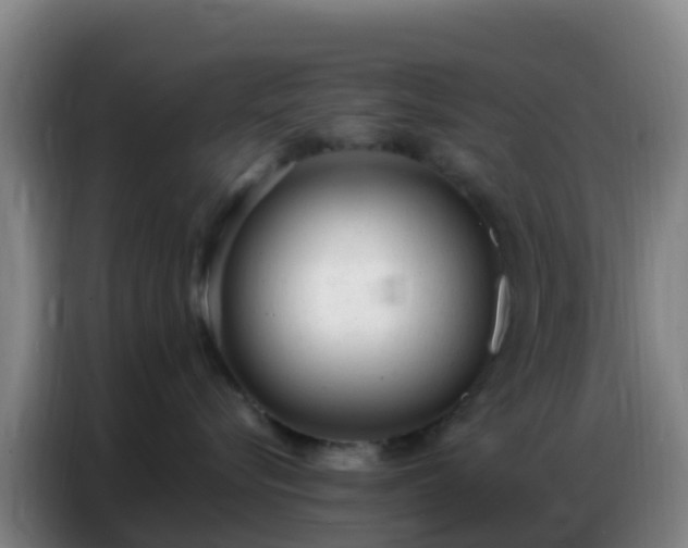 X0000086800576200704201906