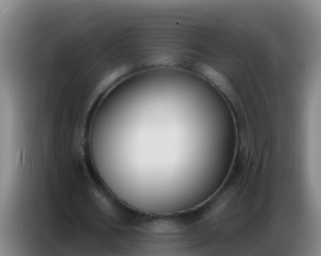 X0000086800578200704201905