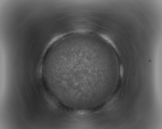 X0000086800579200704201905