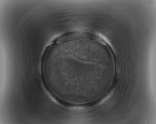 X0000086800581200704201905