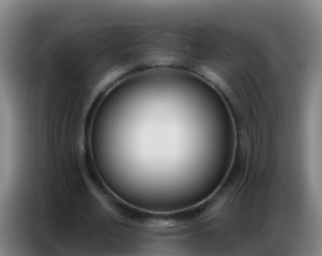 X0000086800582200704201905