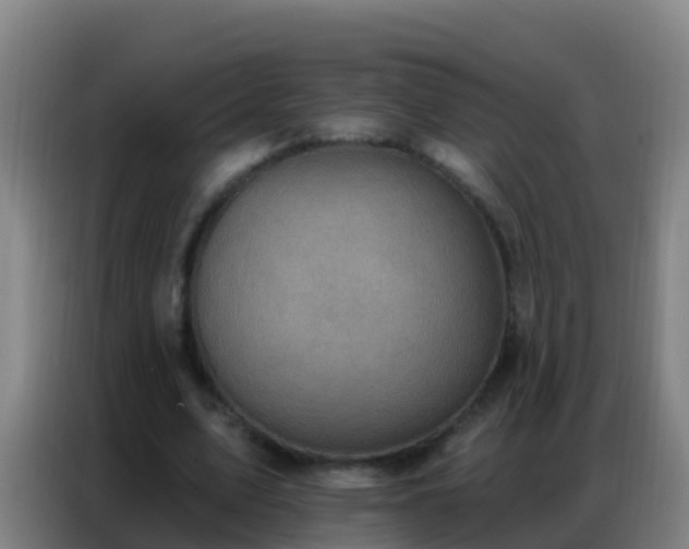 X0000086800583200704201905