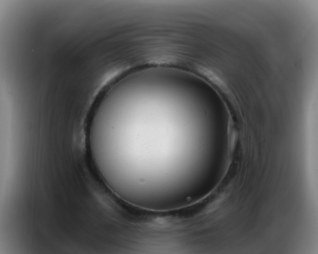 X0000086800584200704201905