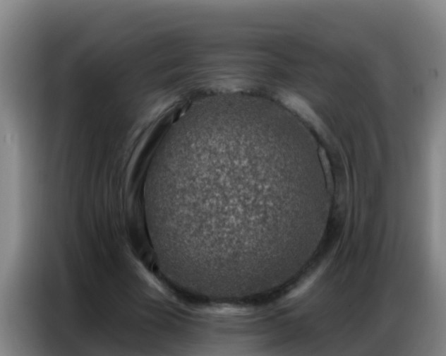 X0000086800585200704201905