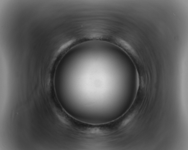 X0000086800588200704201905