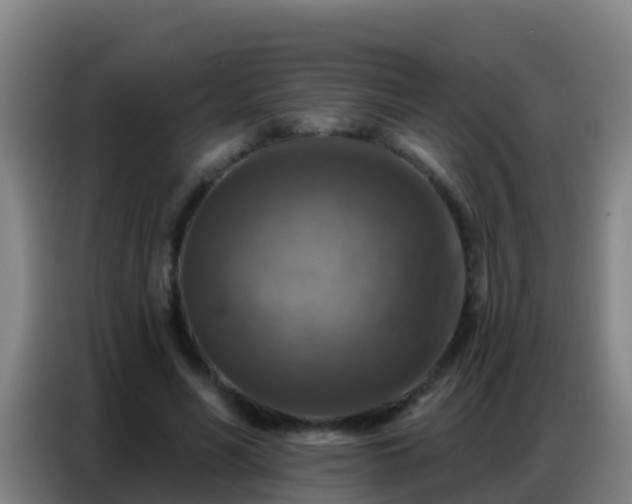 X0000086800590200704201905