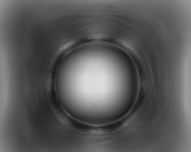 X0000086800591200704201905