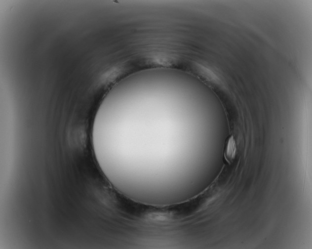X0000086800595200704201905