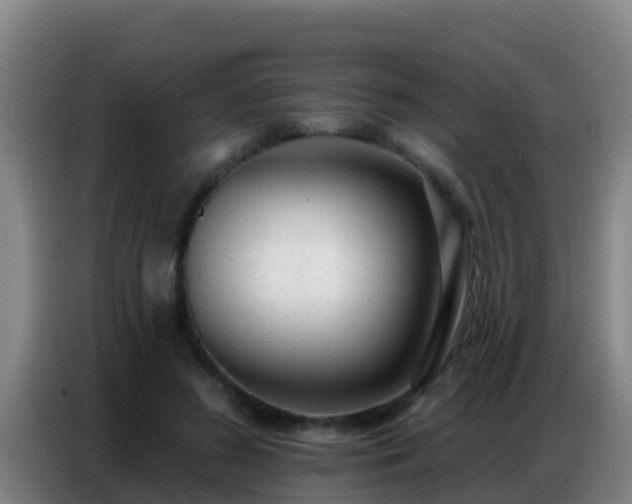 X0000086800596200704201905