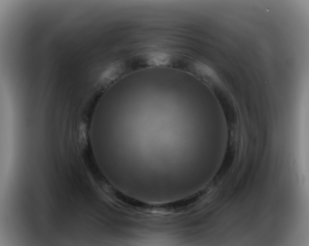 X0000086800598200704201905